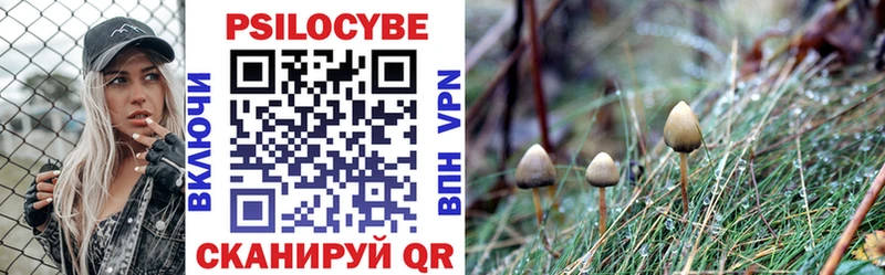 Псилоцибиновые грибы MAGIC MUSHROOMS  Купить  Краснодар 